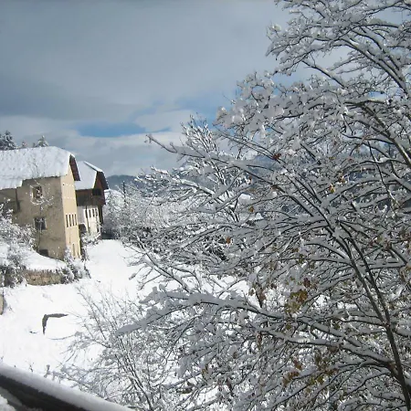 Apartment Grones San Martino in Badia
